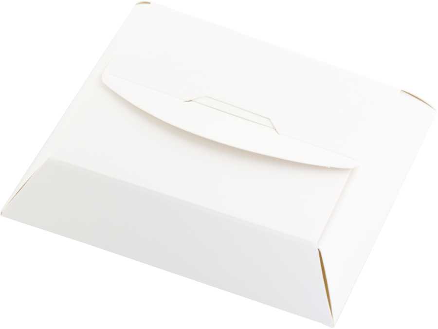 Packaging – Brick Medium - Unprinted