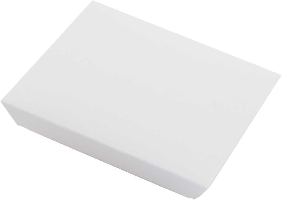 Packaging – Brick Small - Unprinted - rear view