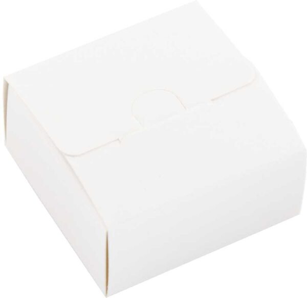 Packaging – Case Mini - Unprinted